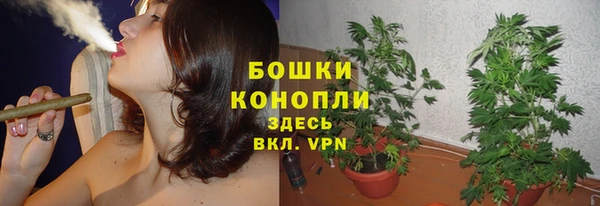 крисы Кукмор
