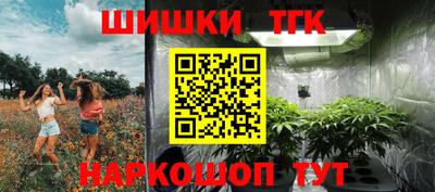гидра Гатчина