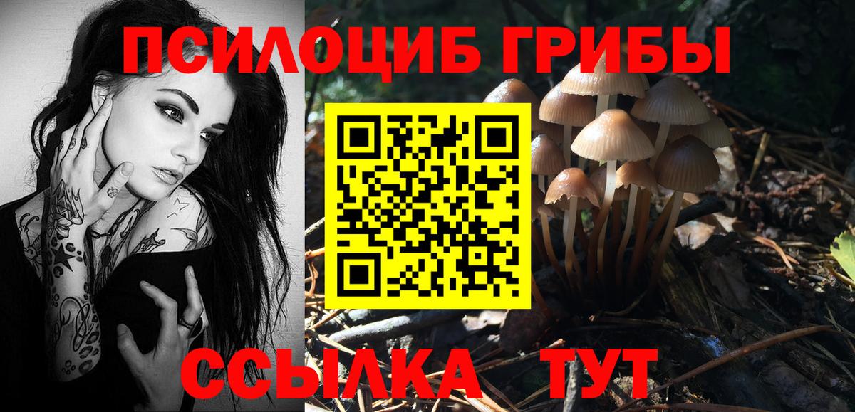 Красноармейск  Псилоцибиновые грибы Magic Shrooms  Вход с VPN 