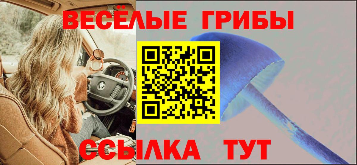 Галлюциногенные грибы GOLDEN TEACHER Красноармейск